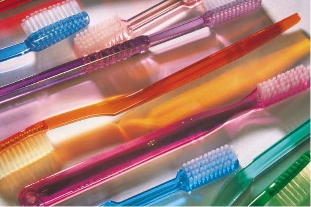 Toothbrushes Used to Be Made From Plants & Animals